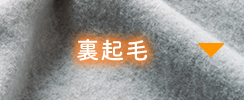 裏起毛