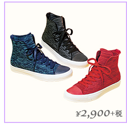 ¥2,900+税