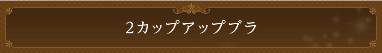 2カップアップブラ