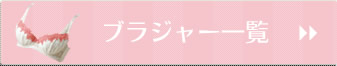 ブラジャー一覧