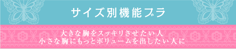 サイズ別機能ブラ 大きな胸をすっきりさせたい人に 小さな胸にもっとボリュームを出したい人に