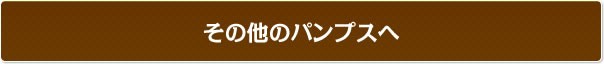 その他のパンプスへ