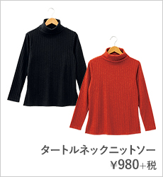 タートルネックニットソー¥980+税