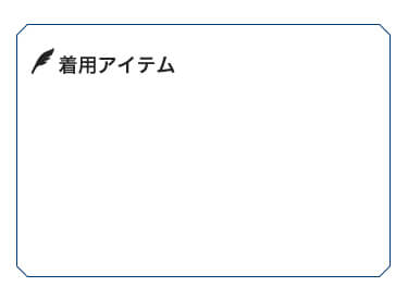 着用アイテム
