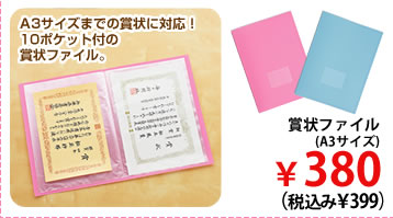 A3サイズまでの賞状に対応！10ポケット付の賞状ファイル。