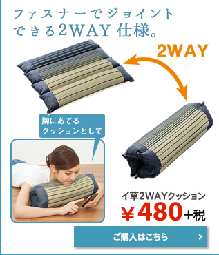 480イ草2WAYクッション
