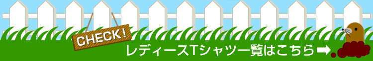 レディースTシャツ一覧はこちら