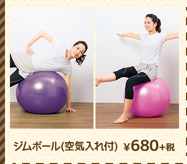 ジムボール(空気入れ付) ¥680+税