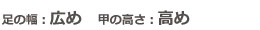 スタッフ情報