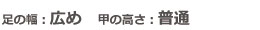 スタッフ情報