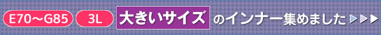 大きいサイズ