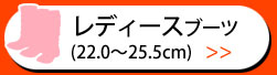 レディースブーツ