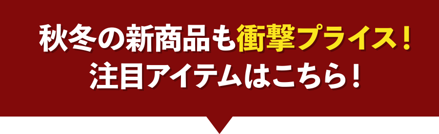 秋冬の新商品も衝撃プライス！注目アイテムはこちら！