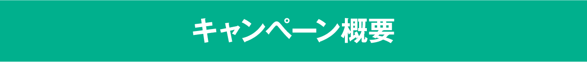 キャンペーン概要