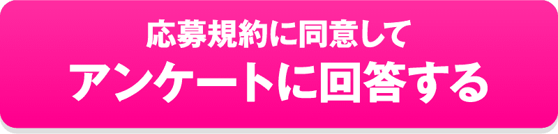 応募規約に同意してアンケートに回答する