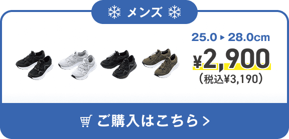 メンズ 25.0-28.0cm ¥2,900(税込¥3,190) ご購入はこちら