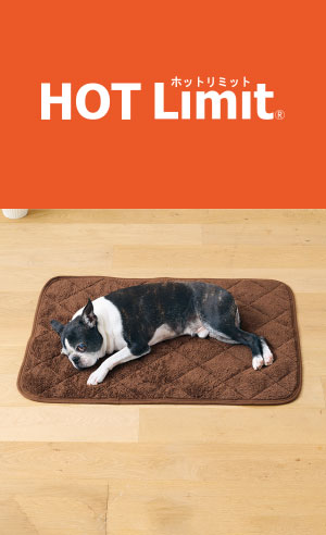 HOT Limit