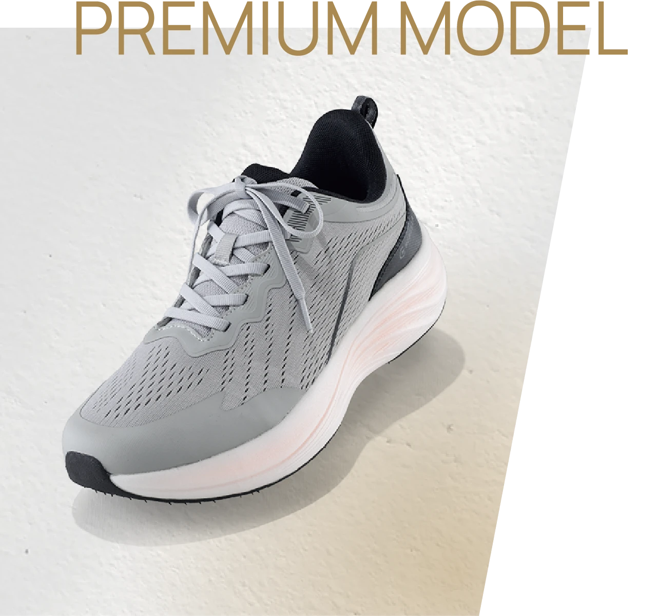 PREMIUM MODEL