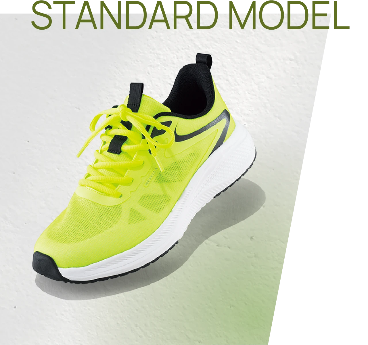 STANDARD MODEL