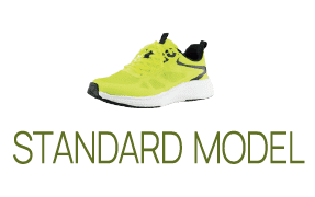 STANDARD MODEL