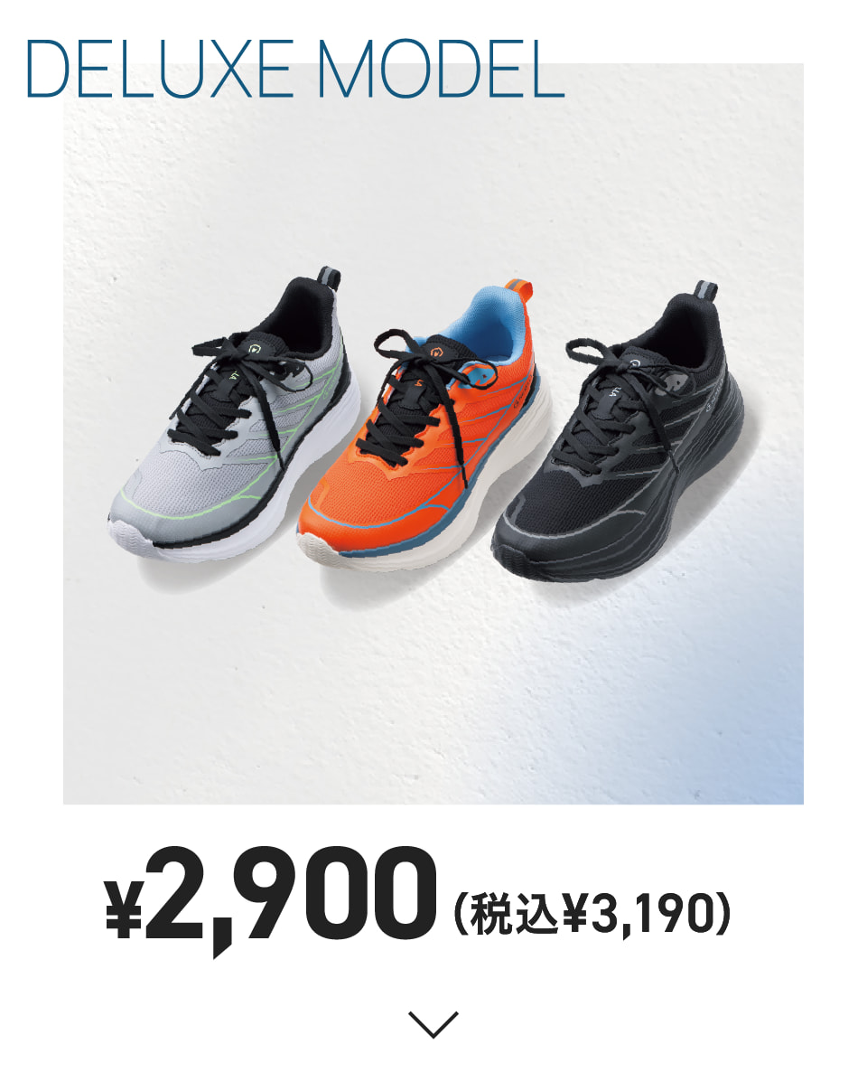 DELUXE MODEL ￥2,900（税込￥3,190）