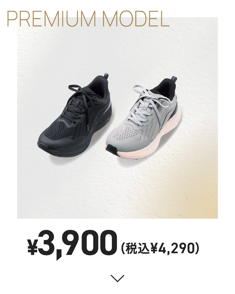 PREMIUM MODEL ￥3,900（税込￥4,290）