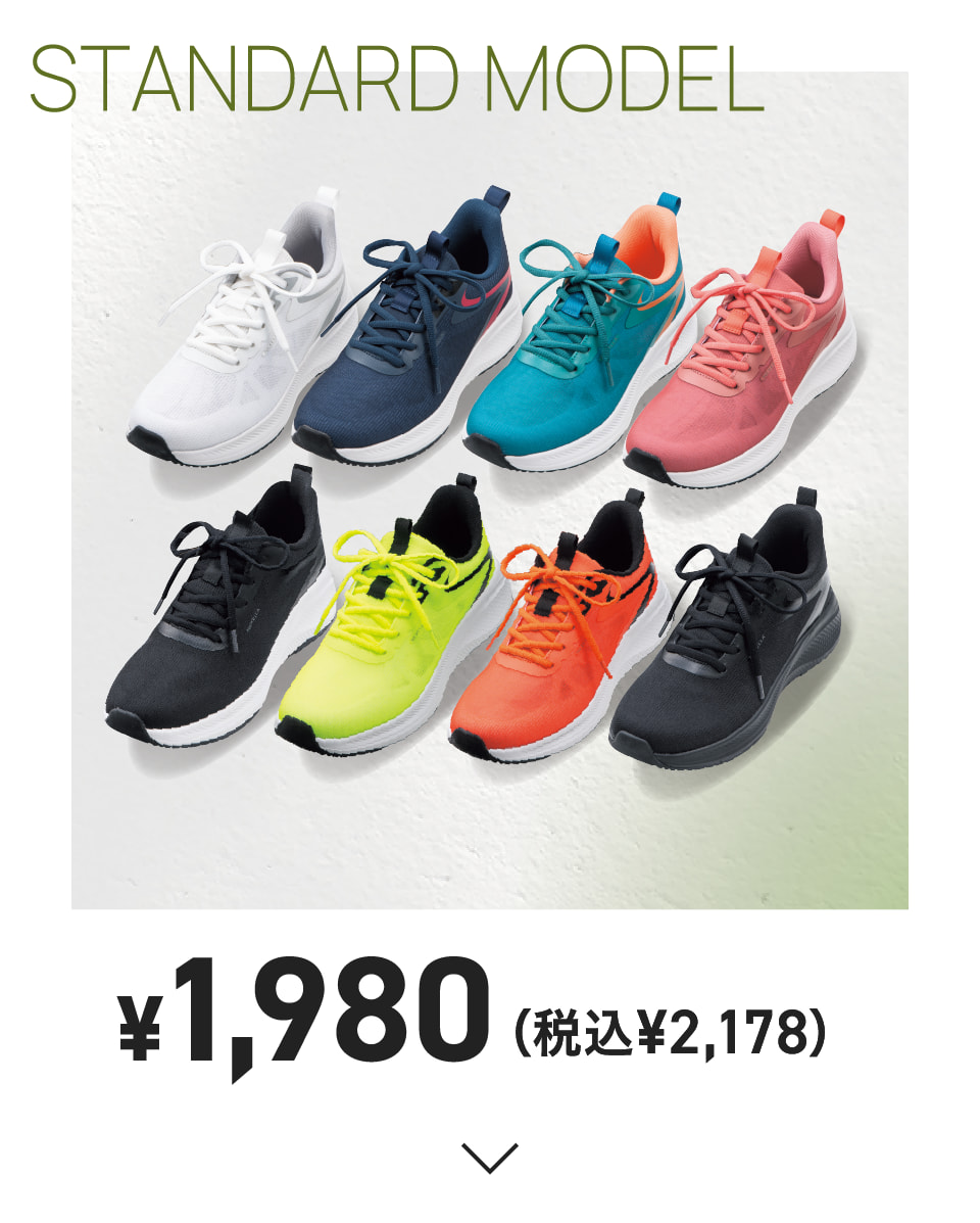 STANDARD MODEL ￥1,980（税込￥2,178）