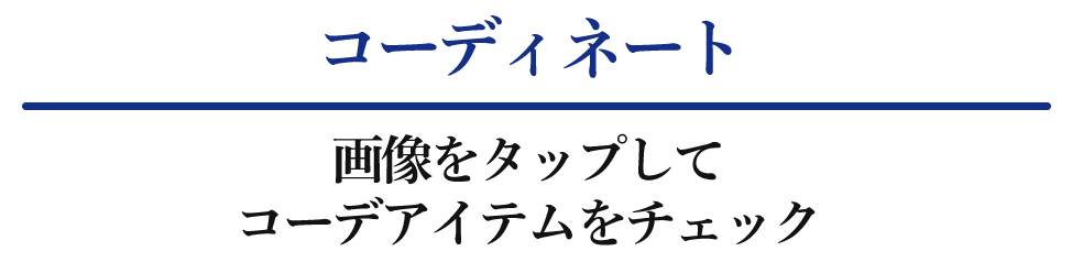 コーディネートをチェック