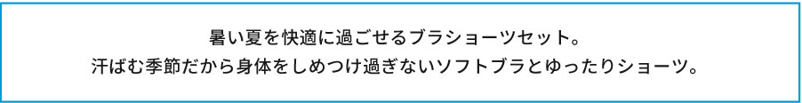 商品説明テキスト画像