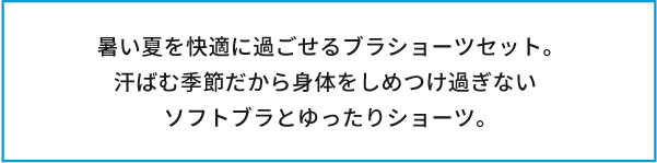 商品説明テキスト画像