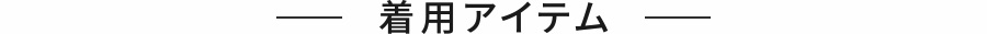 着用アイテム