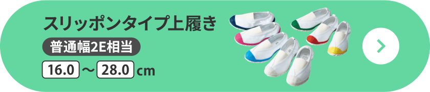 スリッポンタイプ上履き 普通幅2E相当 16.0～28.0cm