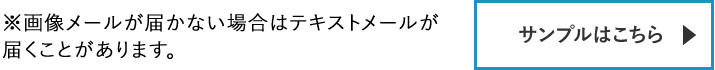 【サンプルはこちら】　※画像メールが届かない場合はテキストメールが届くことがあります。