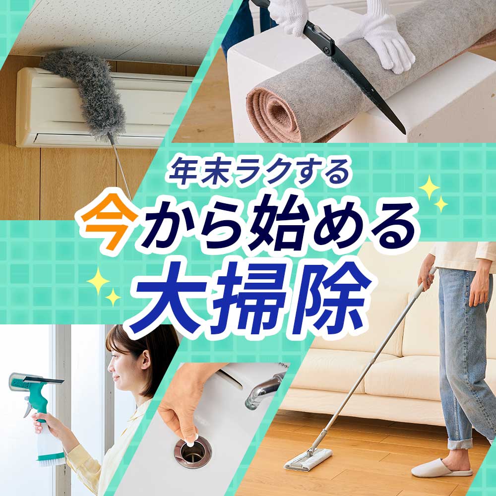 おおそうじ