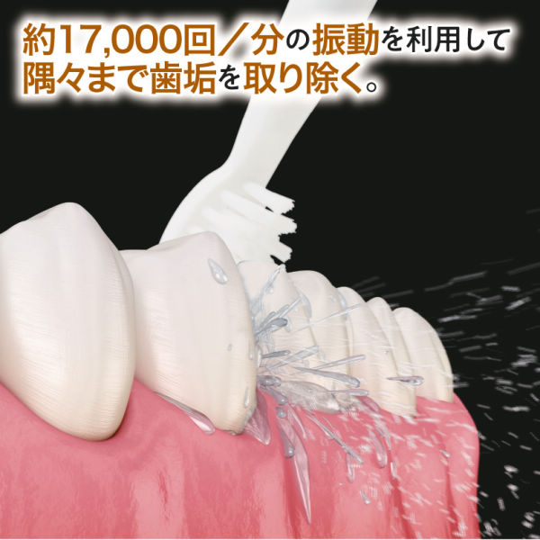 商品写真