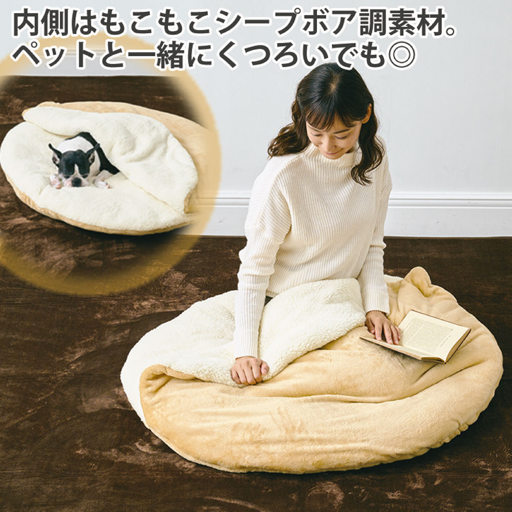 生ハム原木クッション① お部屋を個性的(？)なモノにしてくれるBUENA VISTAの生ハム