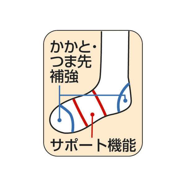 スクールソックス 同色2足組 子ども靴下 ヒラキ 激安靴の通販 ヒラキ公式サイト Hiraki Shopping