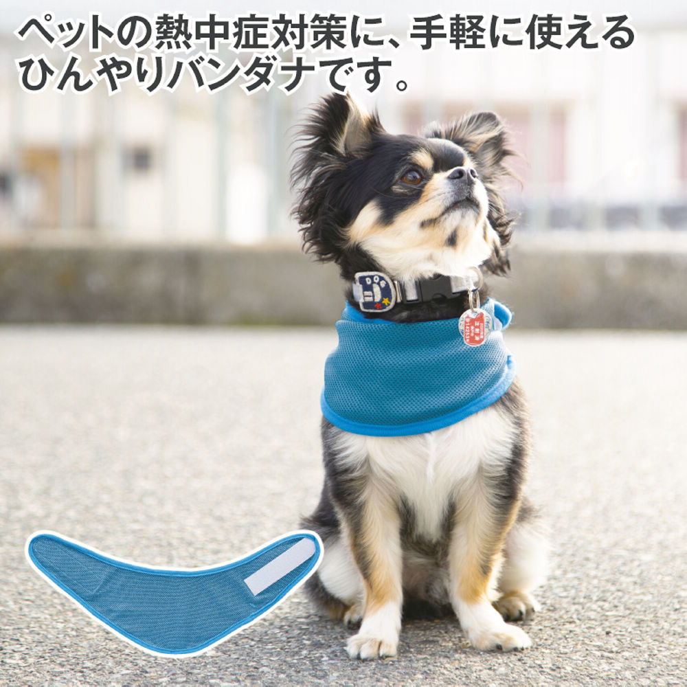接触冷感ペット用ひんやりバンダナ | 激安靴の通販 ヒラキ公式サイト