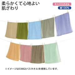 超薄手ミニバスタオル