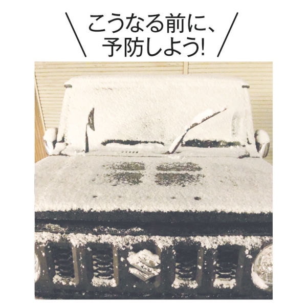 商品写真