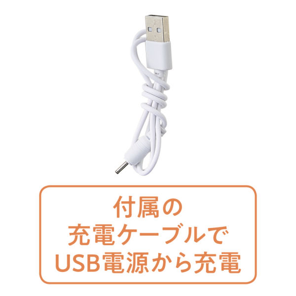 商品写真