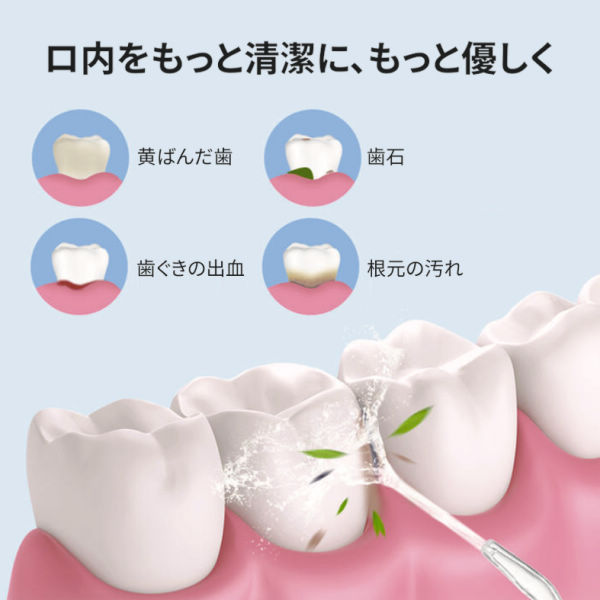 商品写真