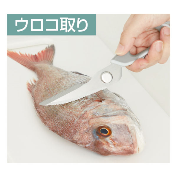 商品写真