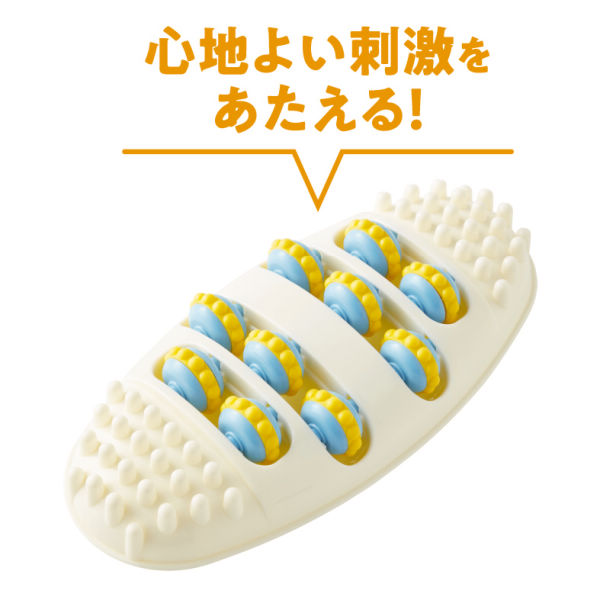 商品写真