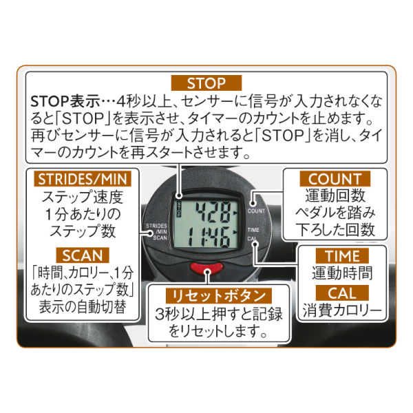 商品写真