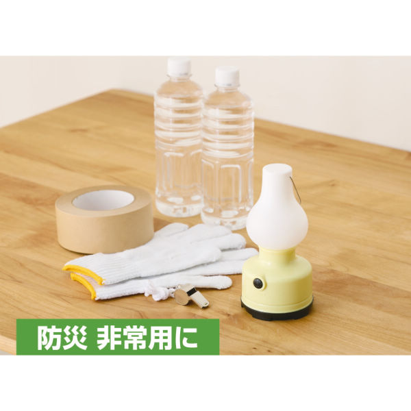 商品写真