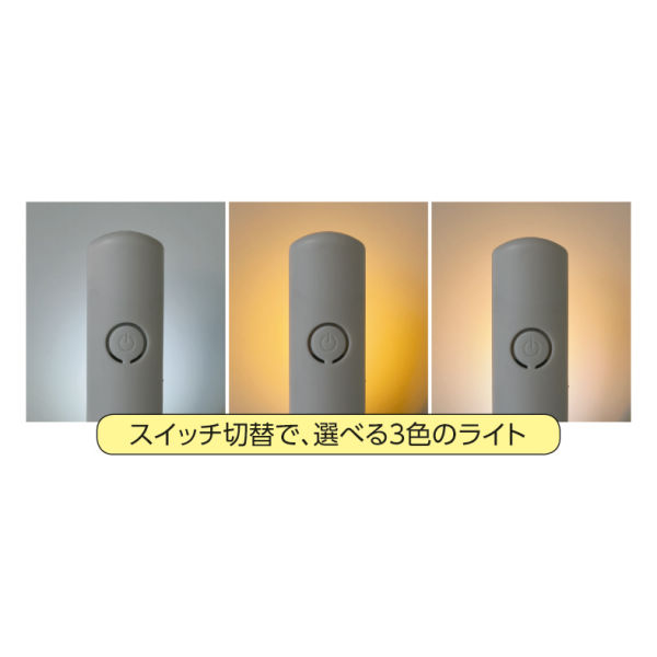 商品写真