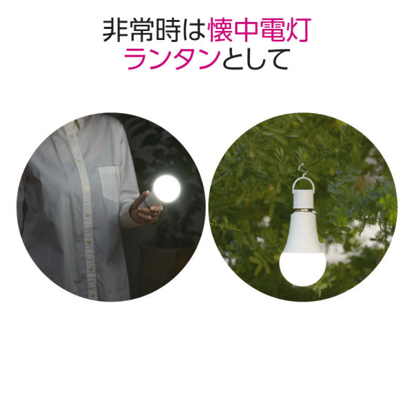 商品写真