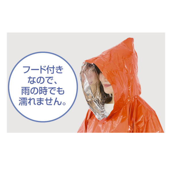 商品写真