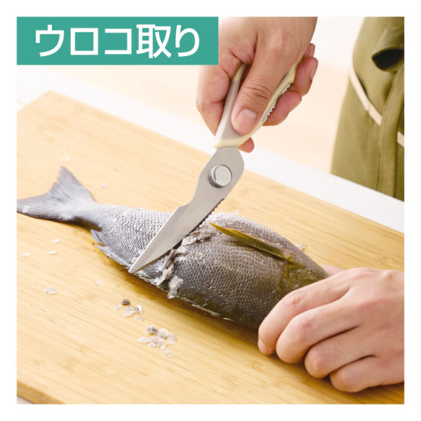 商品写真